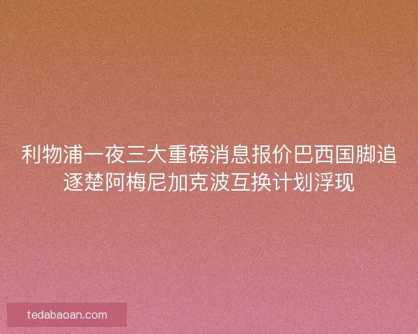 利物浦一夜三大重磅消息报价巴西国脚追逐楚阿梅尼加克波互换计划浮现